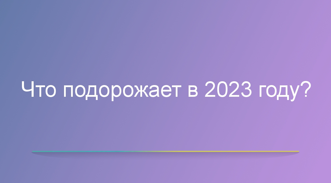 Что подорожает в 2023 году?