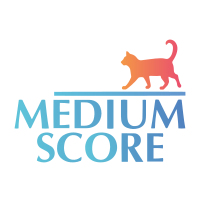 Займы в Medium Score